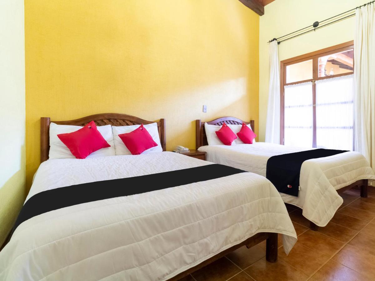 קומיטן דה דומינגז Hotel Jardin De Tereza מראה חיצוני תמונה